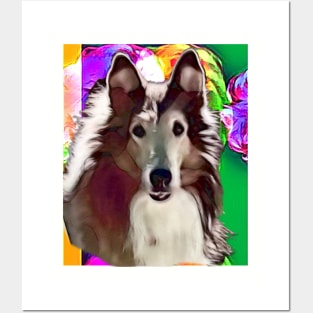 Jay-Boy, the wonderboy collie Posters and Art